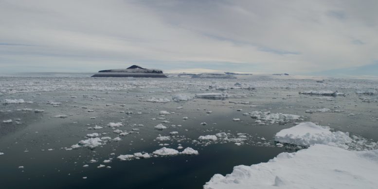 Croisières polaires : un voyage entre détente et découverte