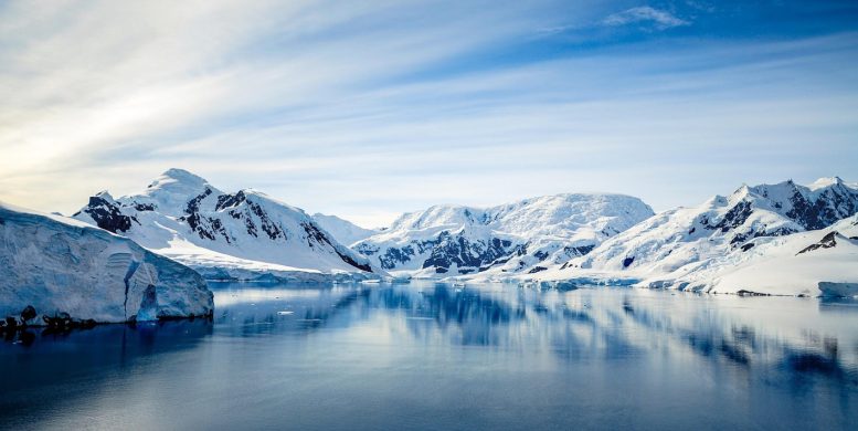 Choisir l’Antarctique pour une croisière : cap sur l’aventure et la découverte !