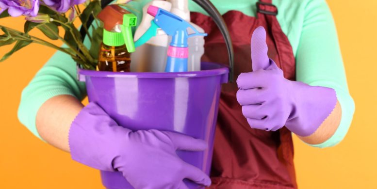 Faciliter la gestion de votre quotidien : pourquoi choisir des services à domicile pour votre maison ?